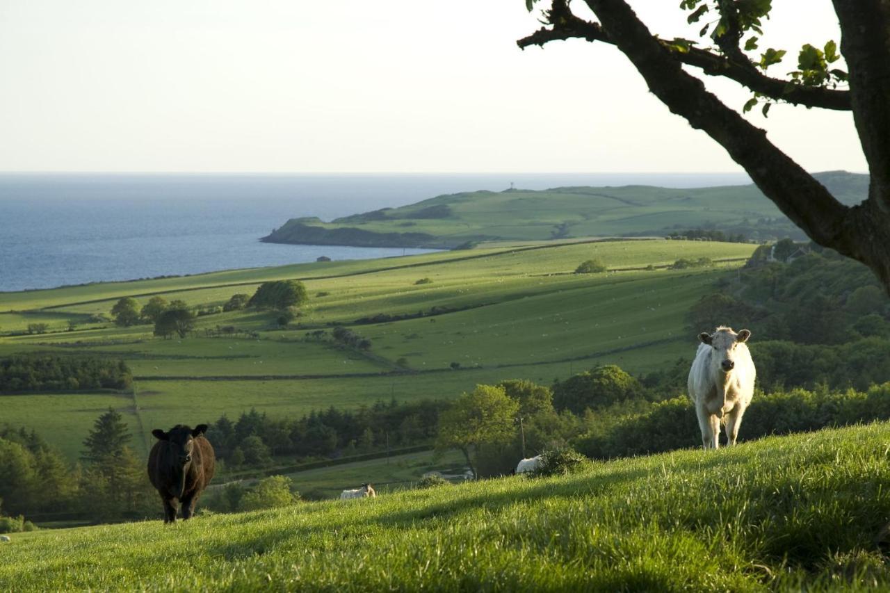 Orroland Holiday Cottages Dundrennan Exterior photo